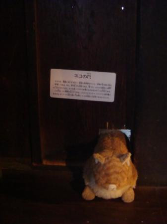 Shirakawago Gassho Zukuri Minkaen-白川村必去景点