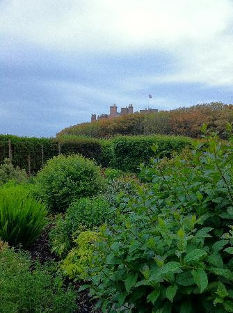 The Castle & Gardens of Mey景点图片
