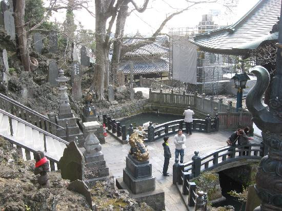 成田山 新胜寺-成田市必去景点
