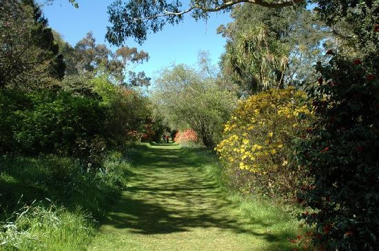 Mount Usher Gardens-Ashford必去景点