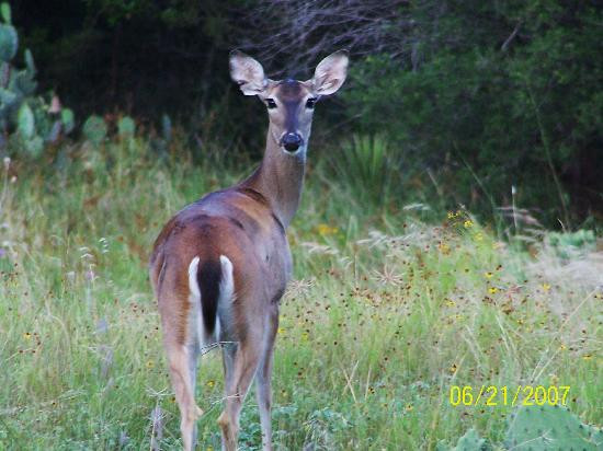 Inks Lake State Park-Burnet必去景点