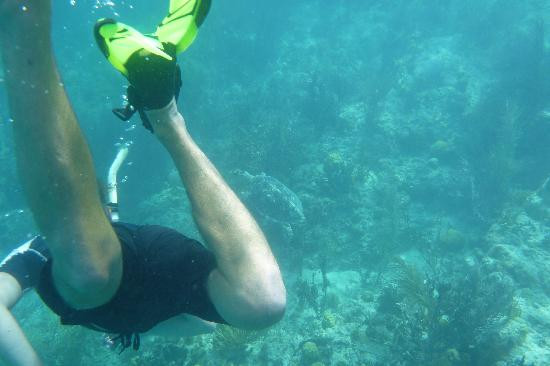 Hidden Reef Eco-Tours景点图片