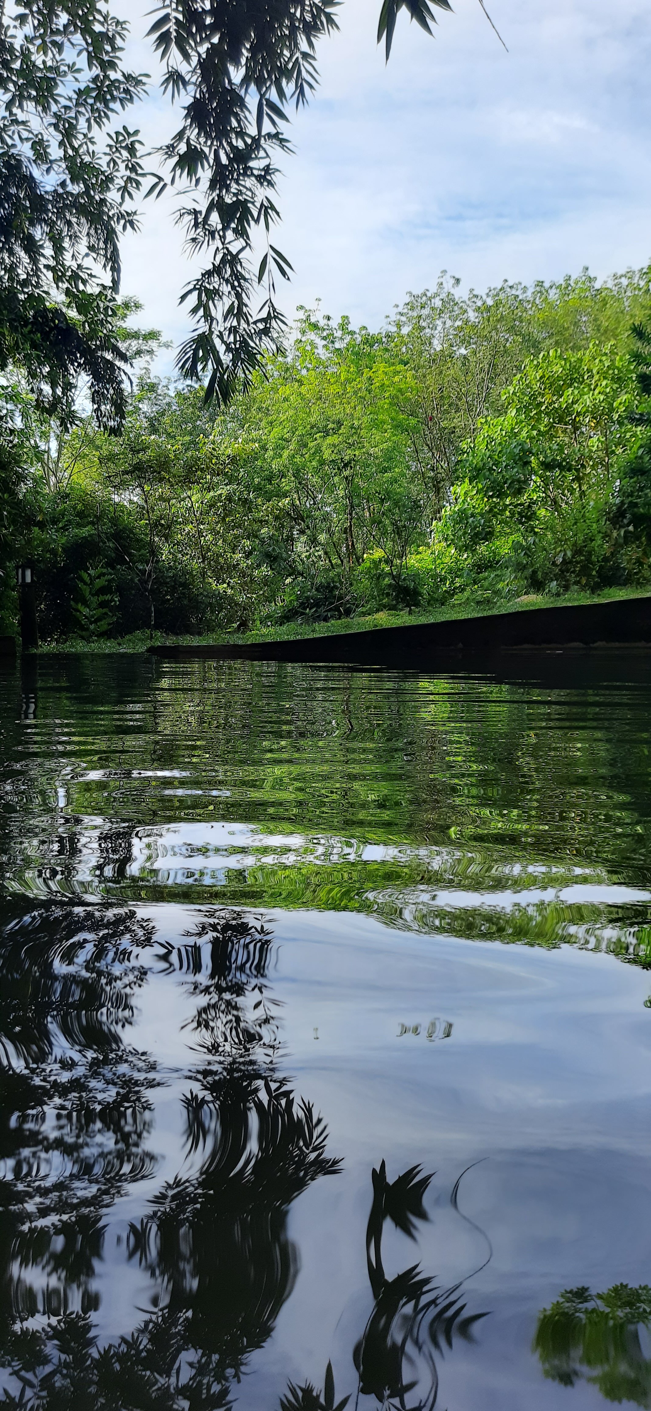 Tappers' Village Nature Resort and Retreat Centre-泳池