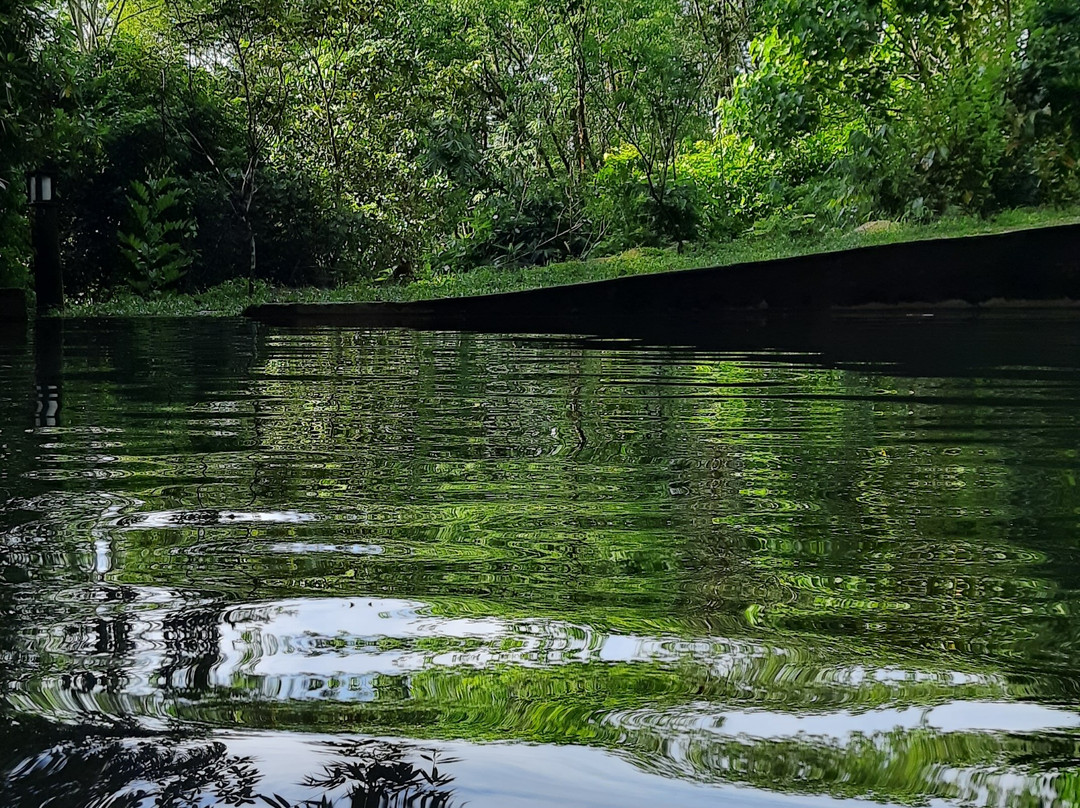 Tappers' Village Nature Resort and Retreat Centre主图