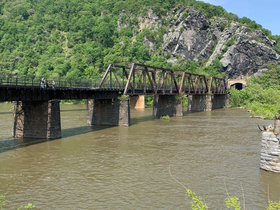 The Point-哈泊斯费里必去景点