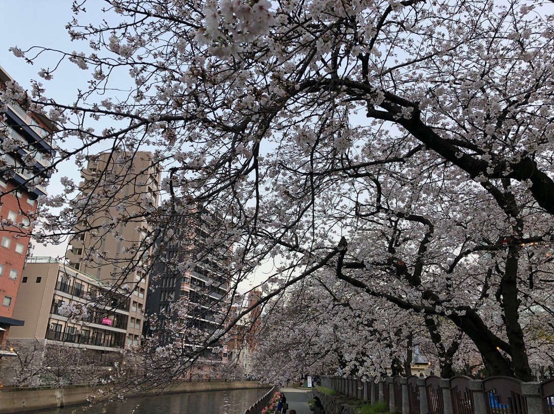 Tenjin Central Park景点图片