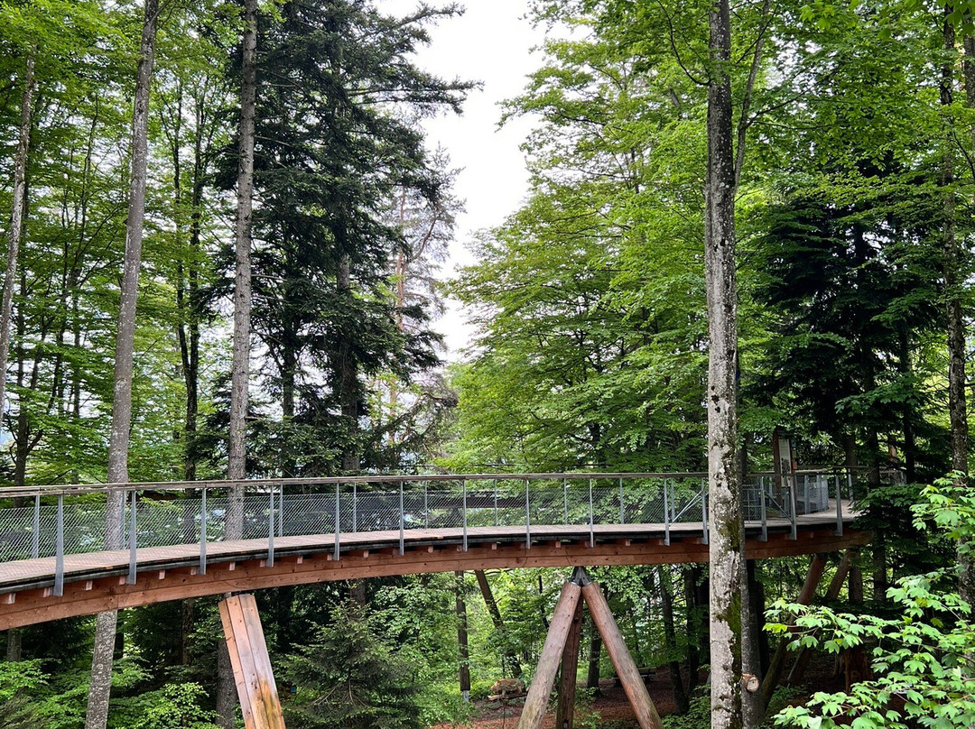 Baumwipfelpfad Neckertal-Mogelsberg必去景点