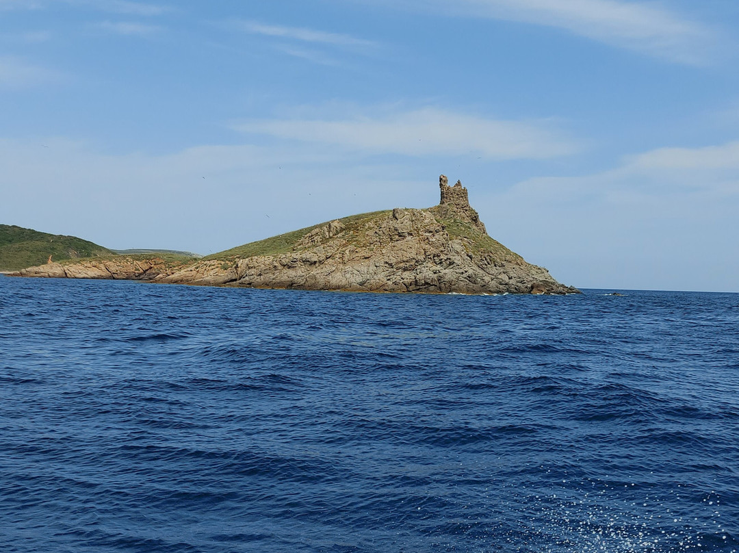 Sentier des Douaniers-阿雅克肖必去景点