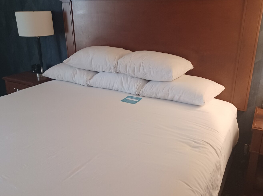 Drury Inn & Suites St. Louis St. Peters主图