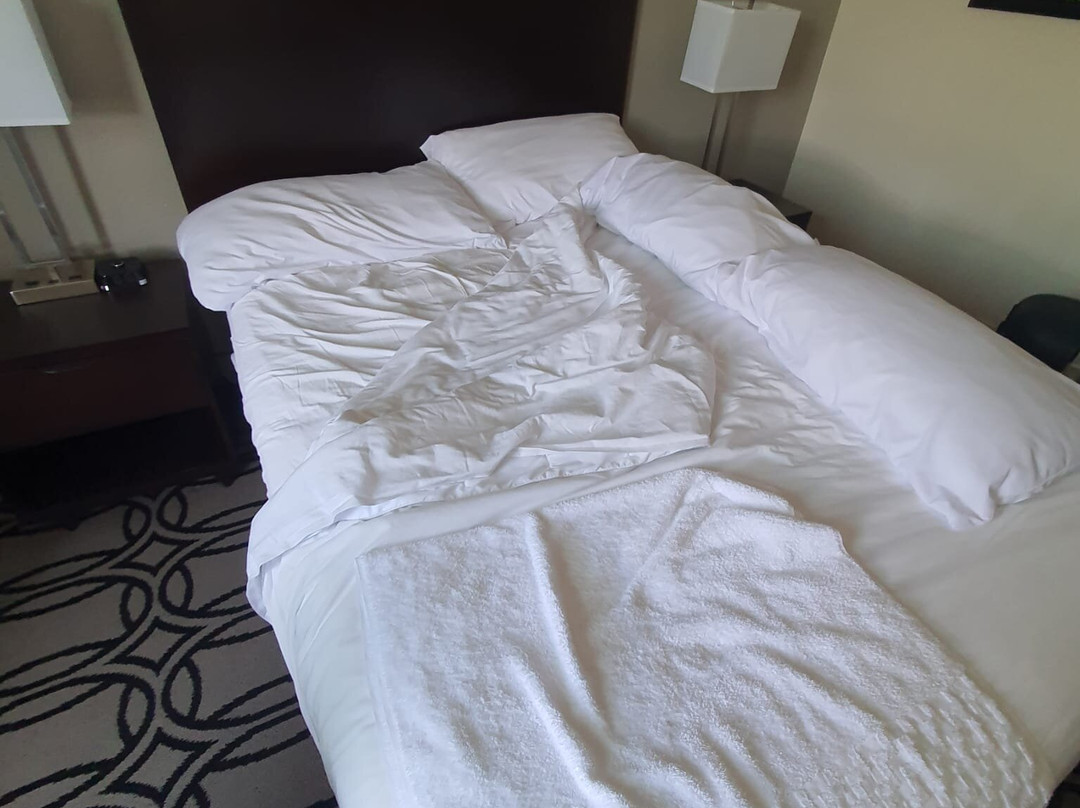 韦斯特马克巴拉诺夫酒店主图