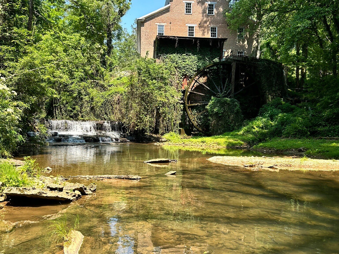 Falls Mill Log Cabin主图