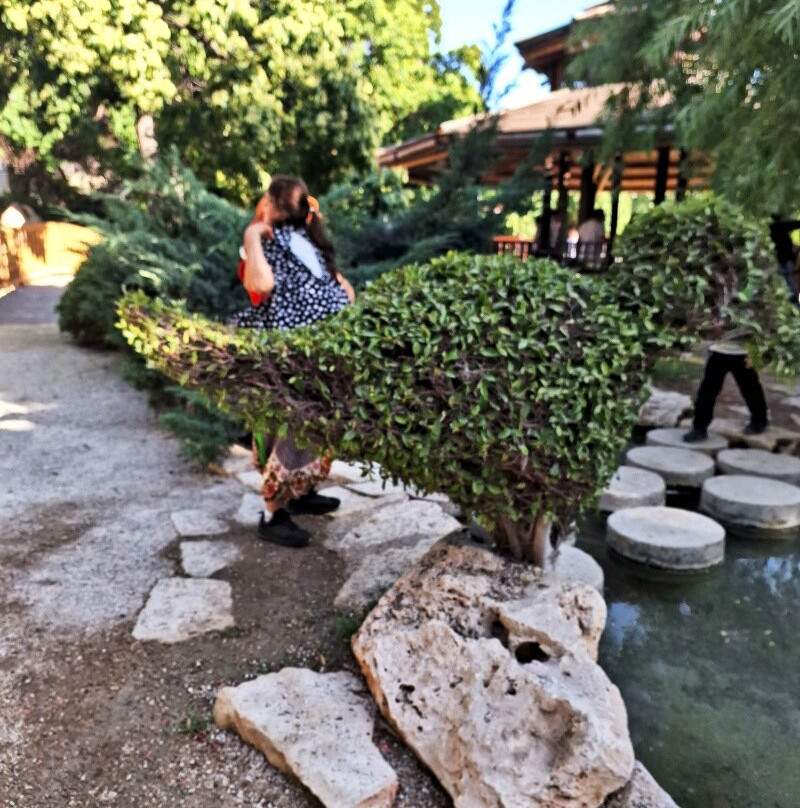 Japanese Garden-霍隆必去景点