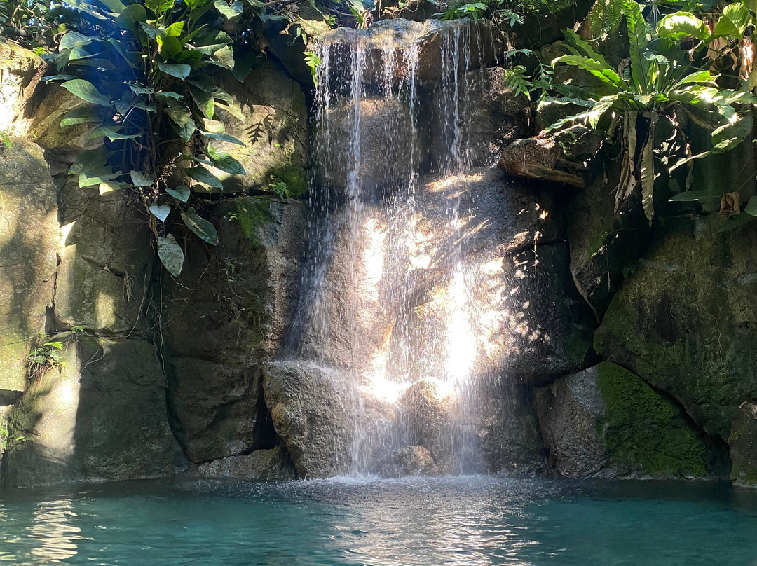 农场在圣贝尼托酒店主图