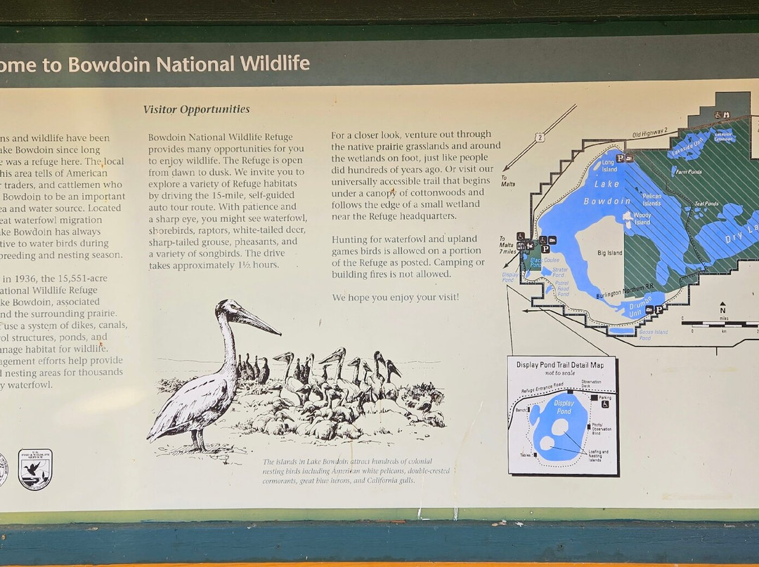 Bowdoin National Wildlife Refuge-Malta必去景点