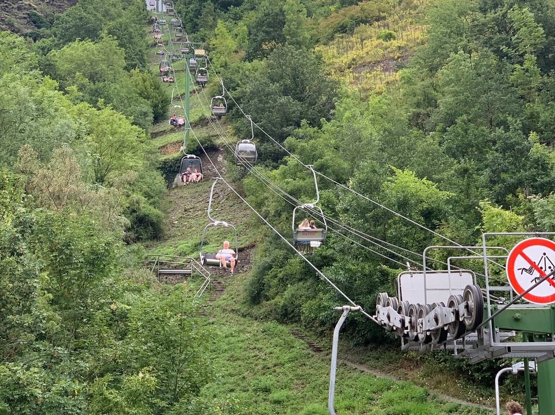 施耐德费瑞恩葡萄酒庄主图