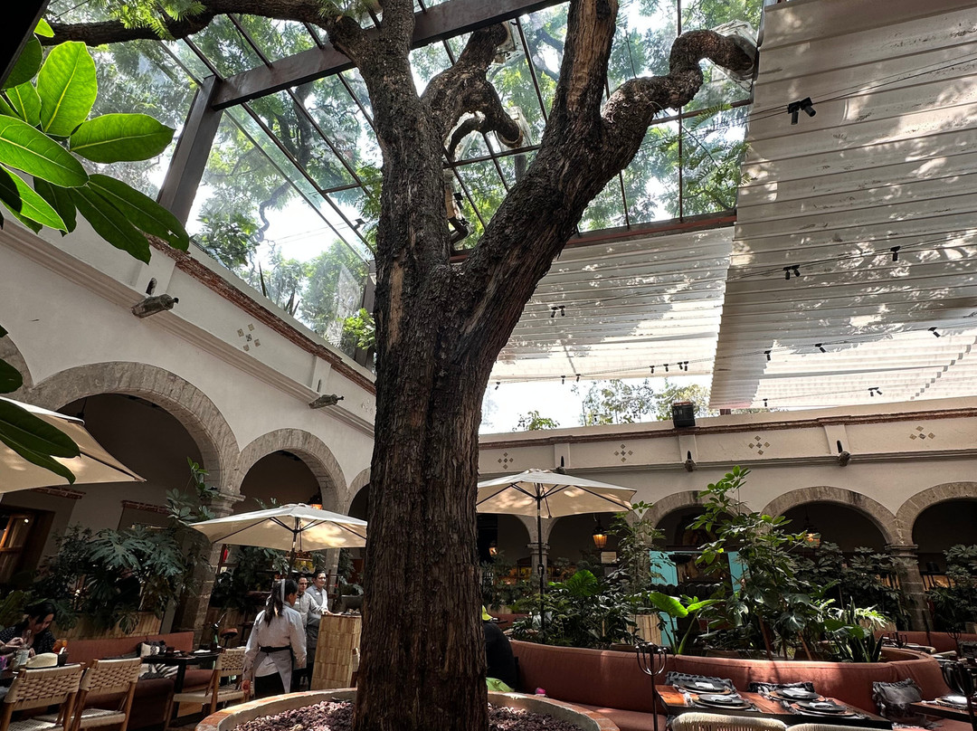 Bazaar Sábado-墨西哥城必去景点