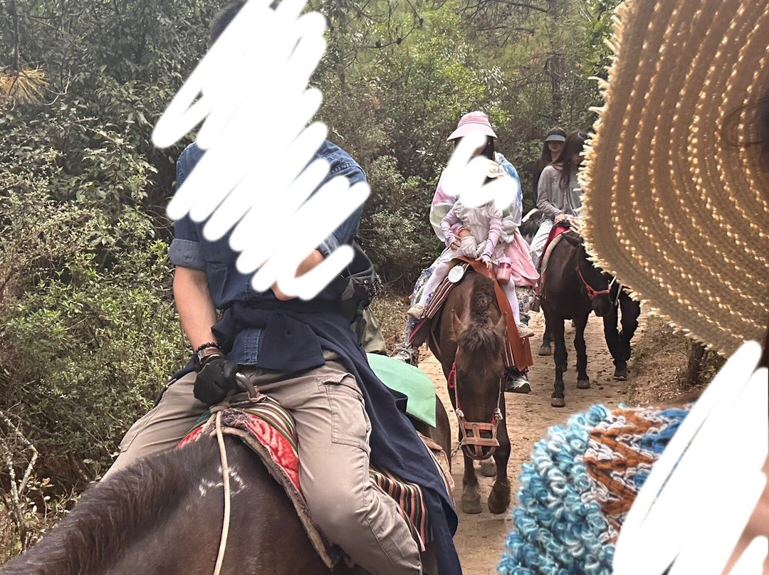 茶马古道-丽江市必去景点