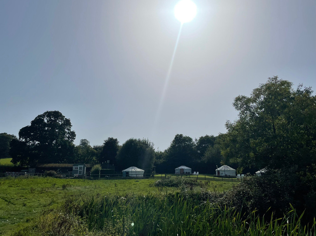 Hemsford Yurt Camp