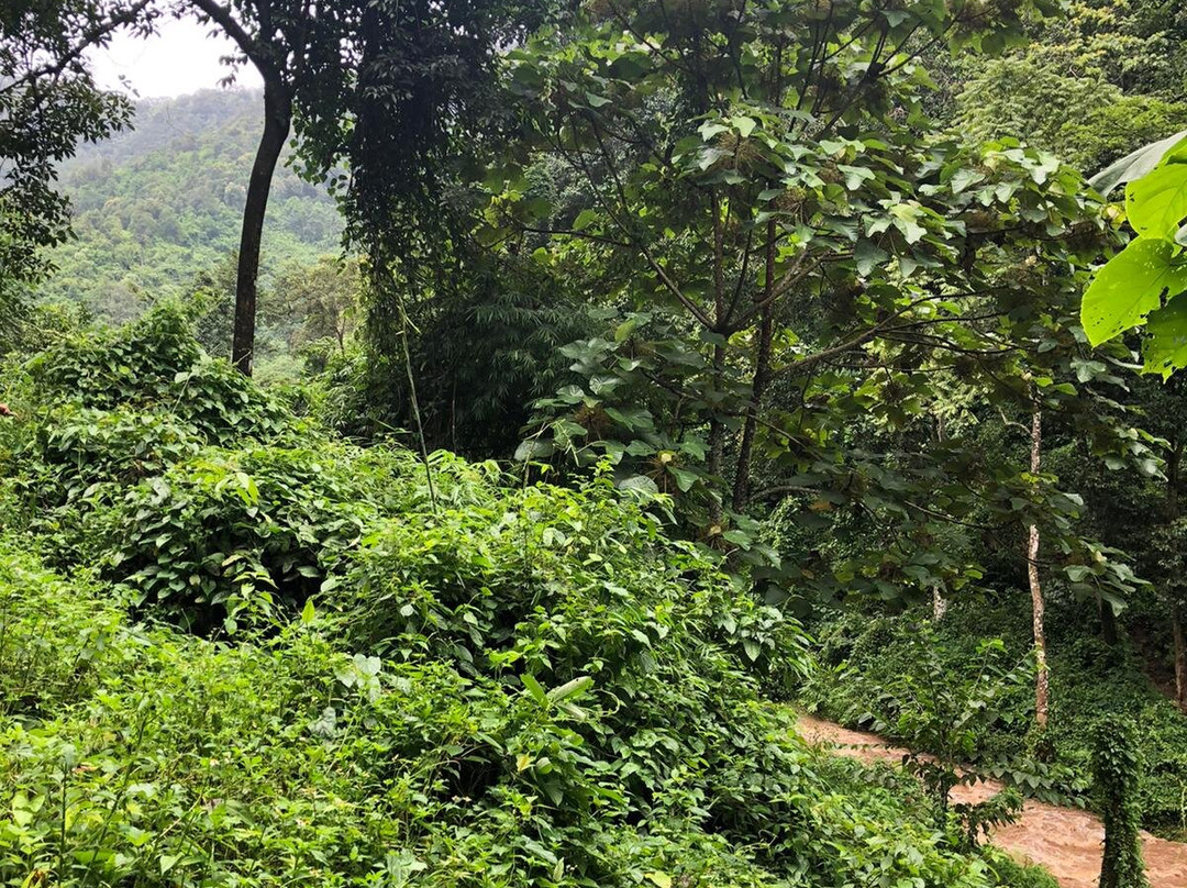 Lahu Village-清莱必去景点