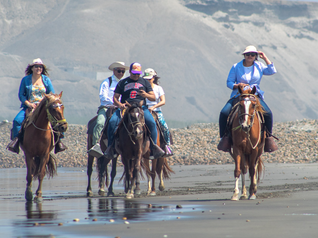 Cabalgata en caballo peruano de paso-Pacasmayo必去景点