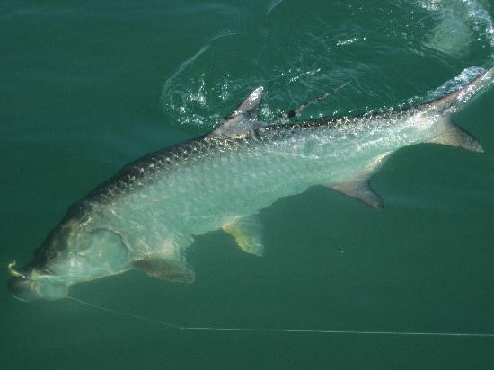 Eco Journeys  Tour-Salinas必去景点