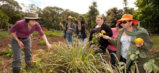 Rainforest Bounty Tropical Cuisine and Nature Discoveries-马兰达必去景点