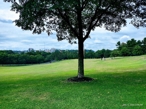 Schenley Park-匹兹堡必去景点