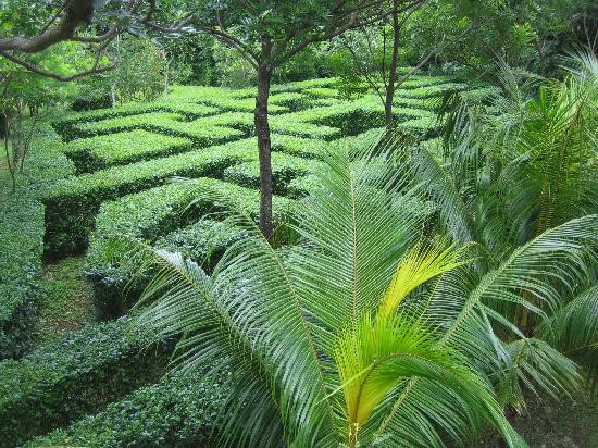 Finca Codeso景点图片