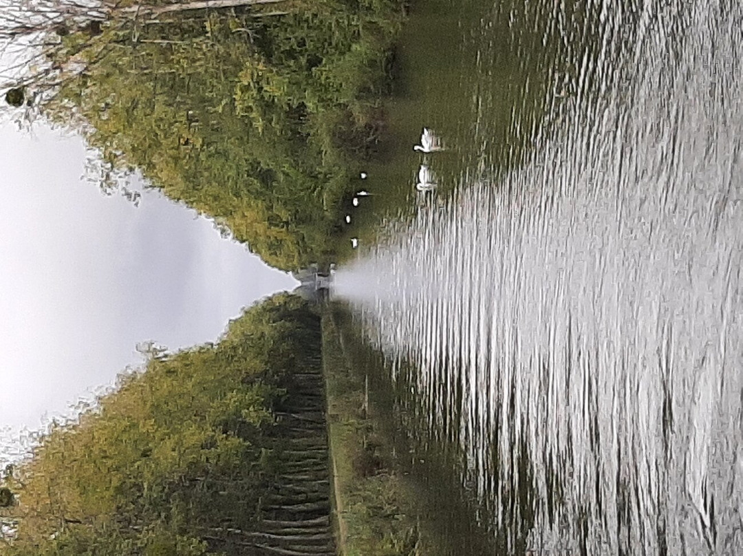 Canal de Nantes a Brest-布列塔尼必去景点