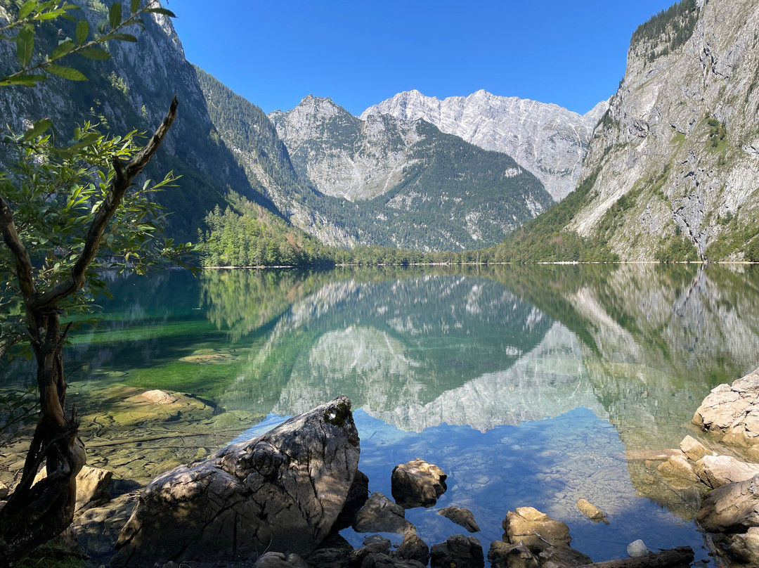Obersee景点图片