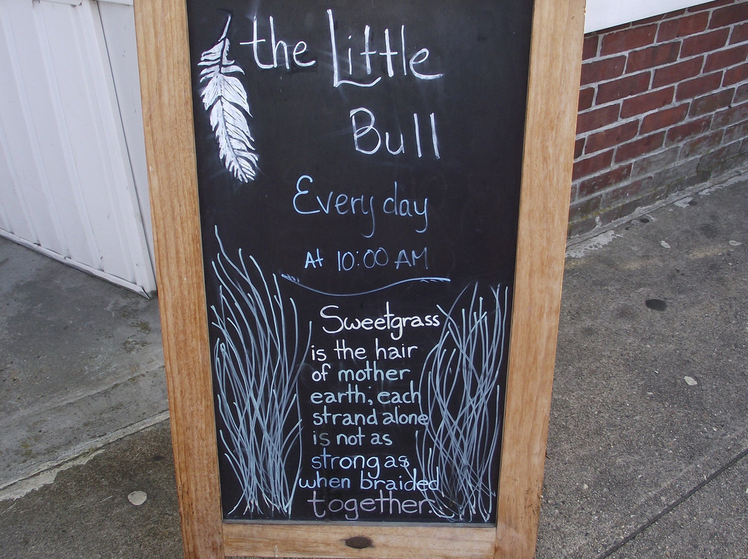 The Little Bull景点图片