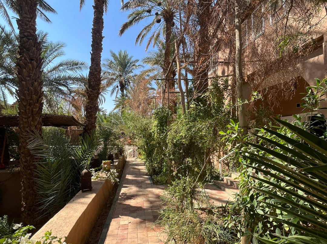 Villa Zagora Ma Villa Au Sahara主图