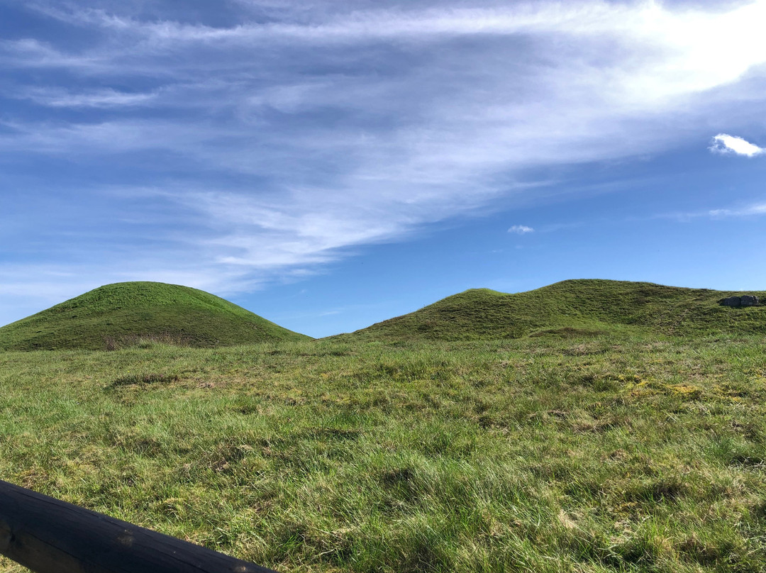Gamla Uppsala Museum-Gamla Uppsala必去景点