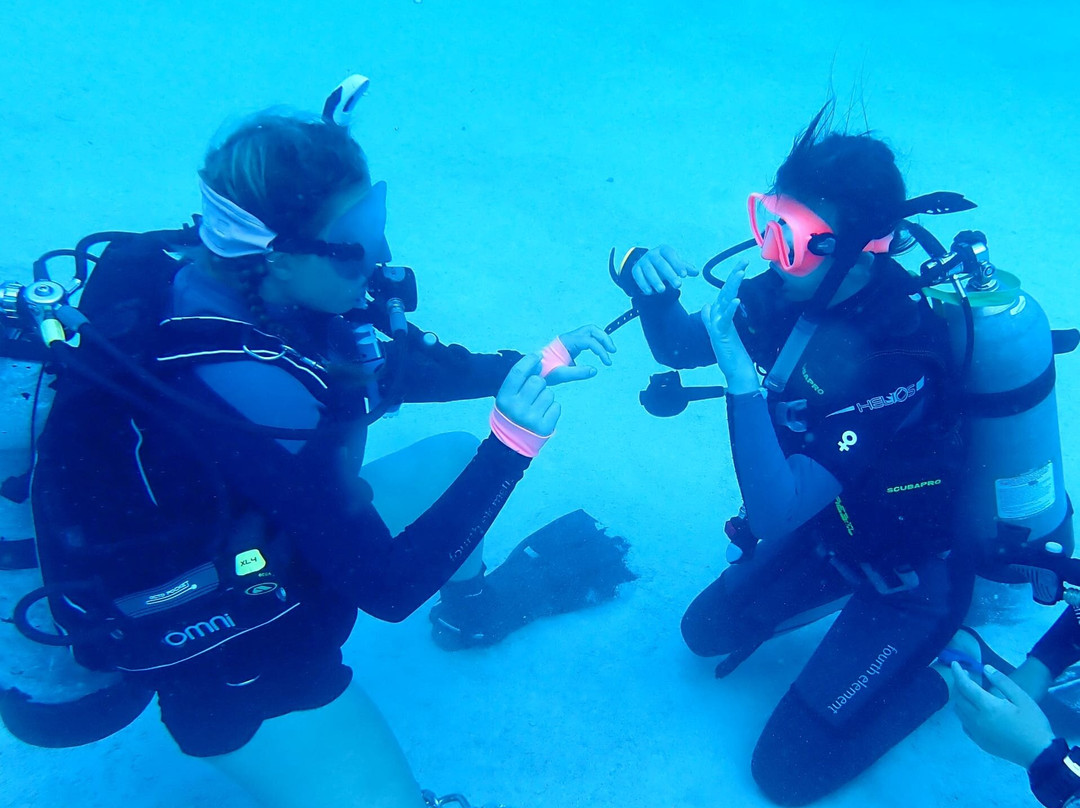 Crystal Divers Mauritius景点图片