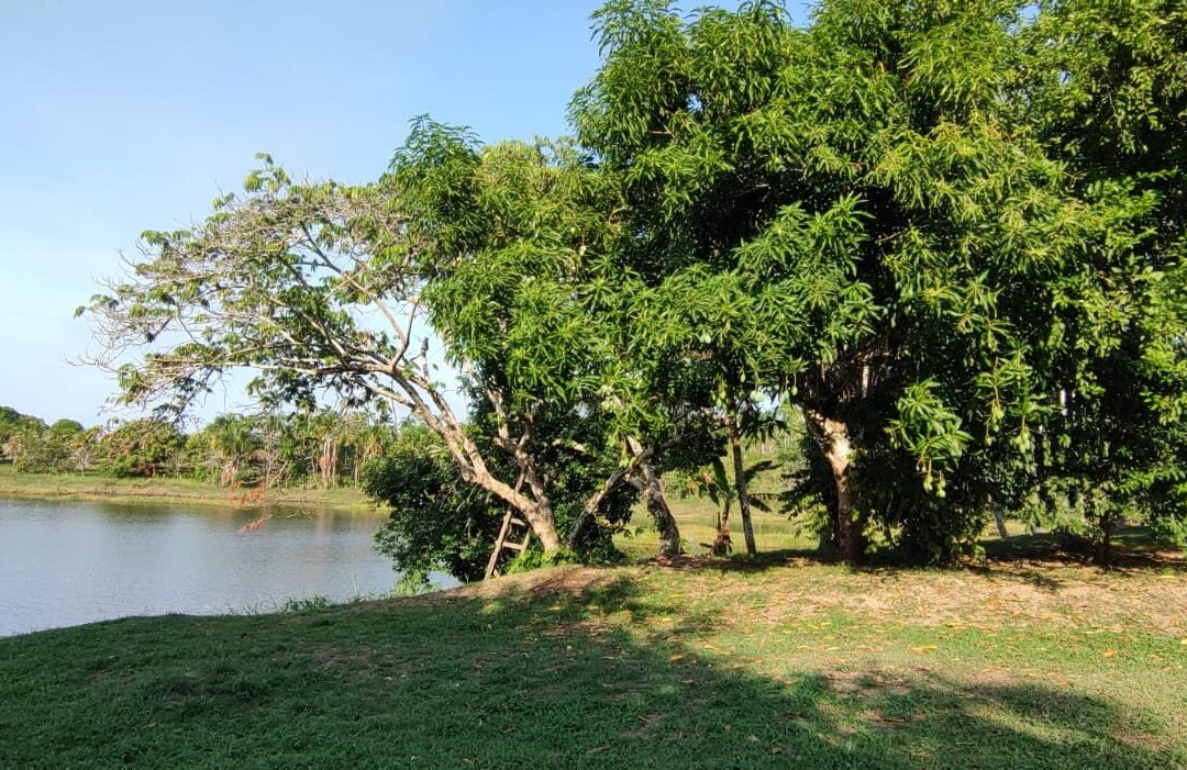 Pousada Vila Madeira主图