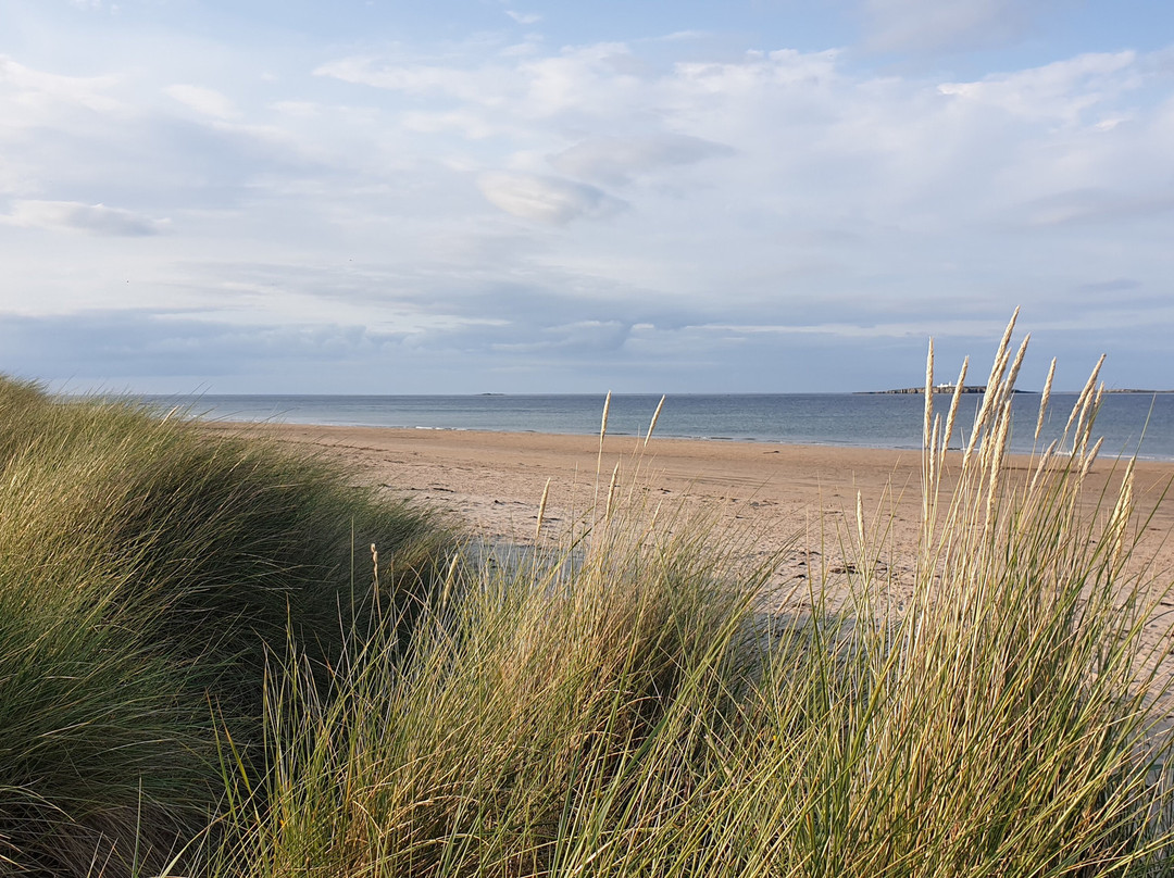 The Olde Ship Inn主图