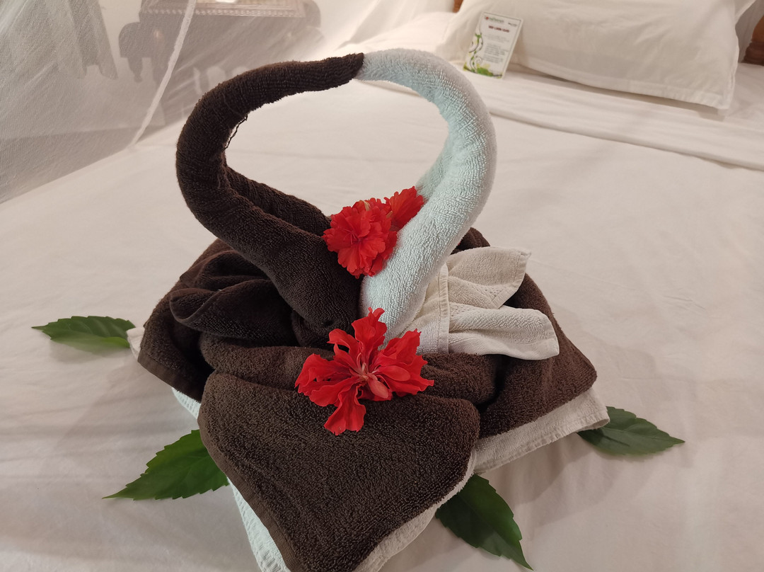 Soma Manaltheeram Ayurveda Beach Village主图