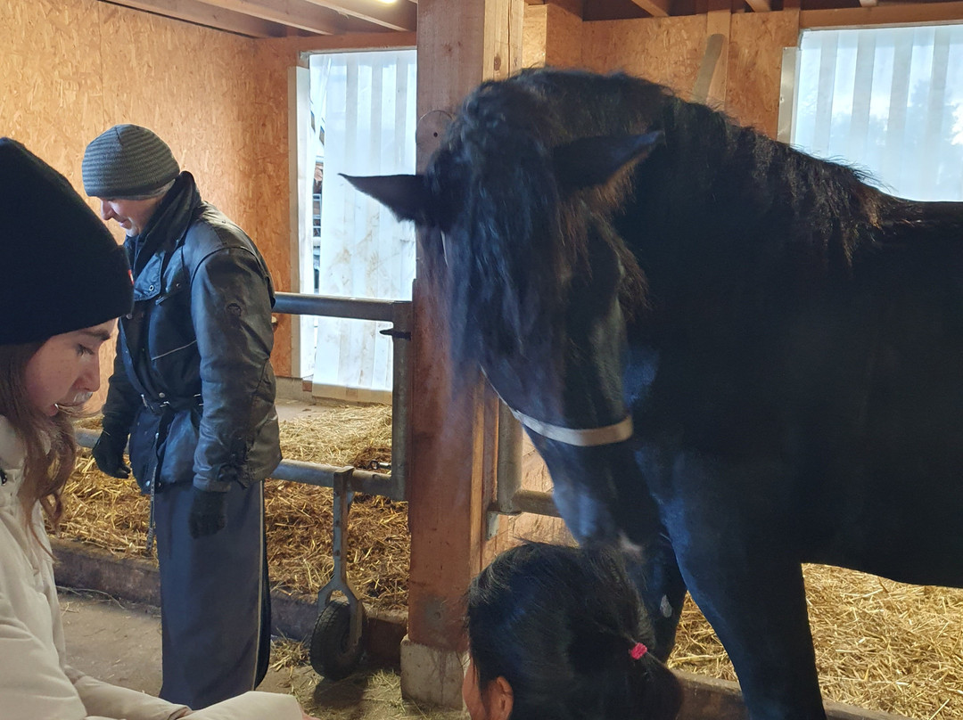 Rosszeit-Deilingen必去景点