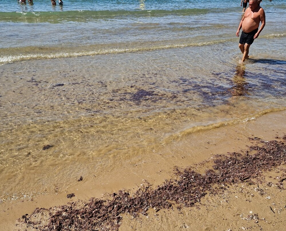 Platja dels Capellans景点图片