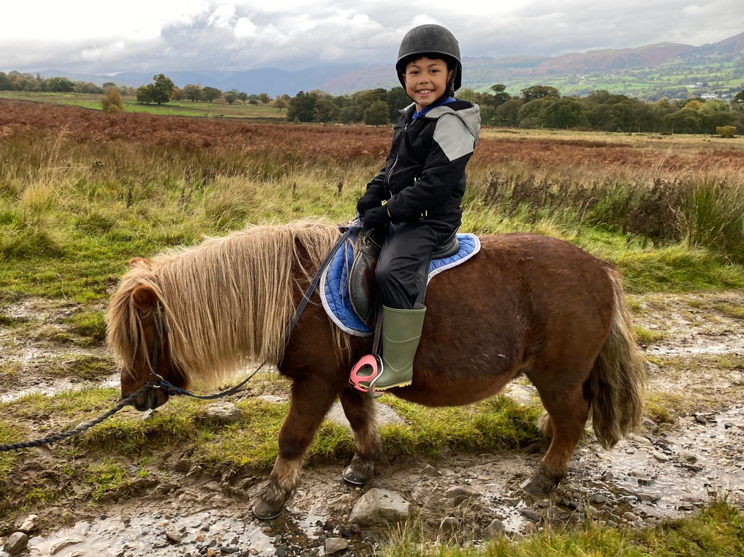 Pony Trekking Ullswater景点图片