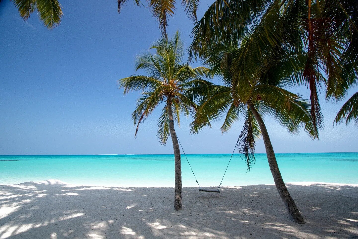 Blue Coral Vashafaru-泳池