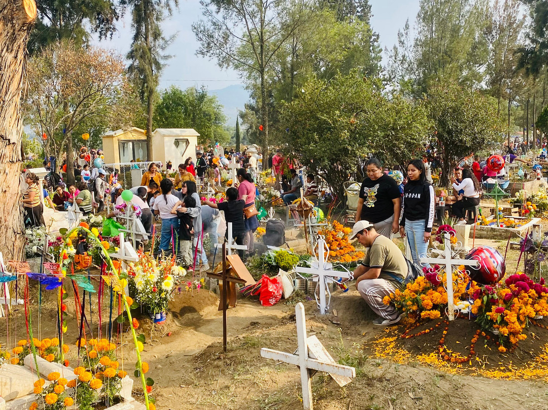 Pata De Perro Mx-墨西哥城必去景点