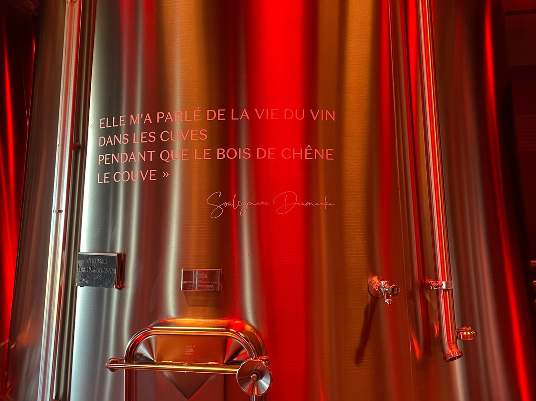 La Maison Cardinale-Saint-Etienne-De-Lisse必去景点