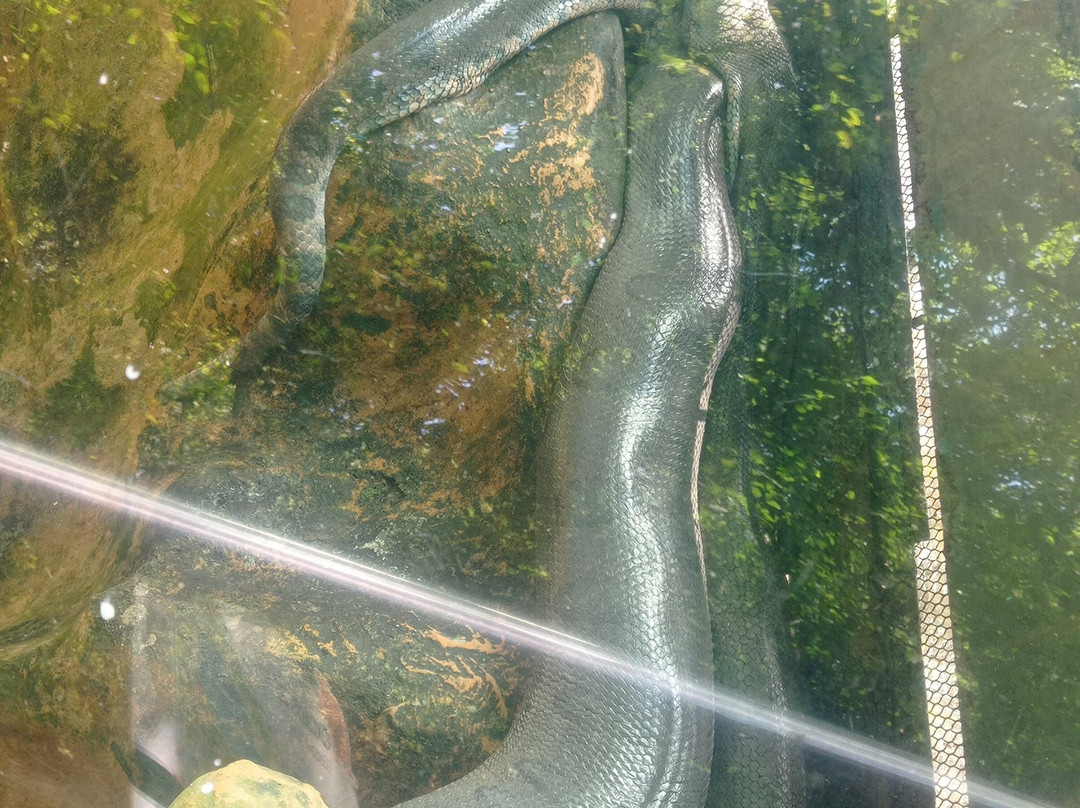 Bioparque Los Ocarros-比亚维森西奥必去景点