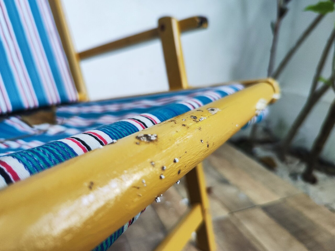 迪格瑞岛酒店住宿-Bougainvillea Inn - Maldives