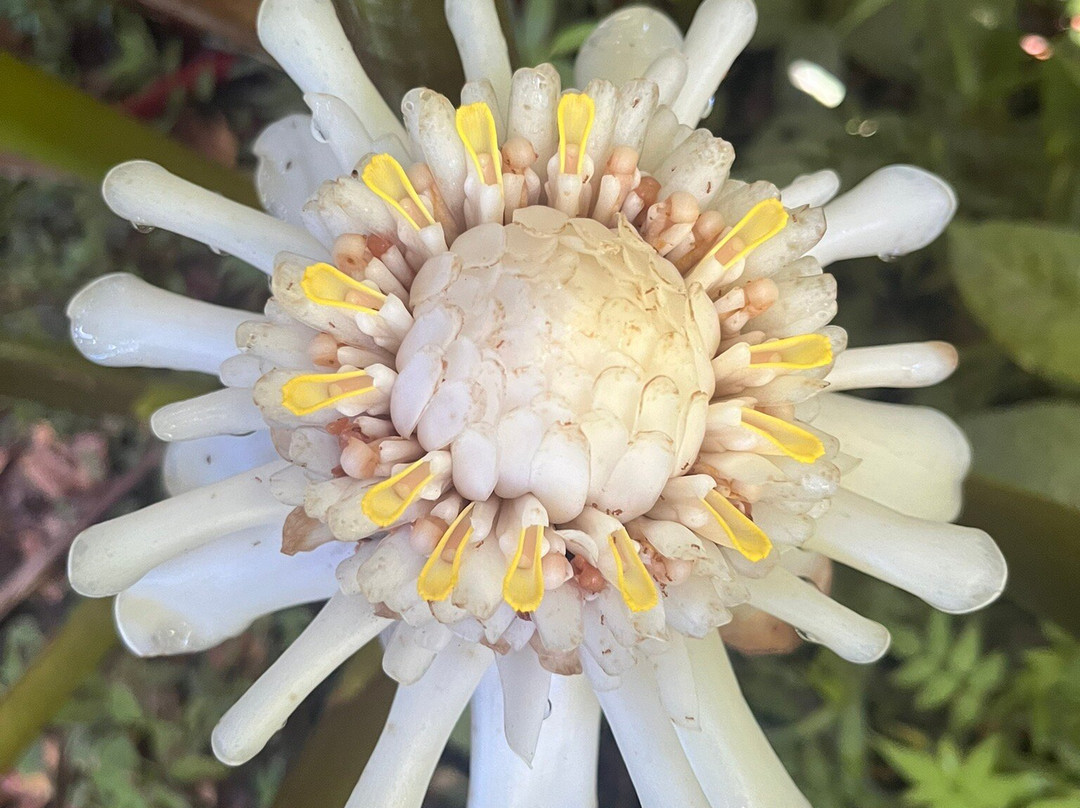 Altura-圣胡安必去景点