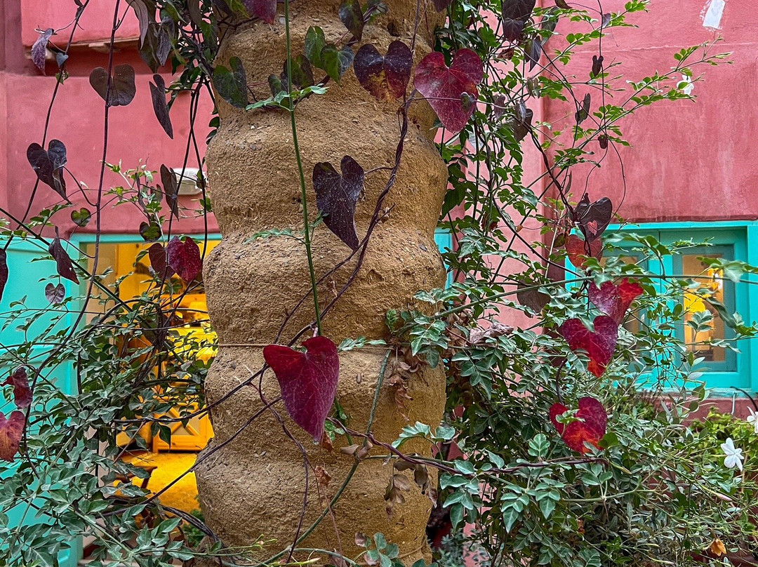 To A Skylark-Tunis必去景点