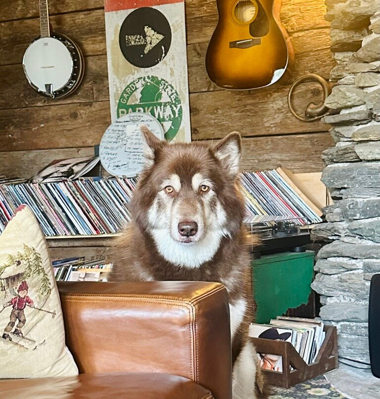 Grunberg Haus Inn & Cabins主图