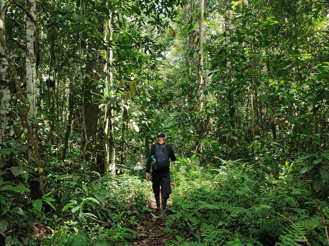 Conexion-Amazonas Puerto Nariño景点图片