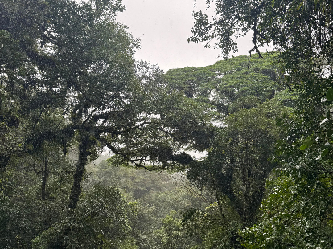 Costa Rica Best Tours景点图片